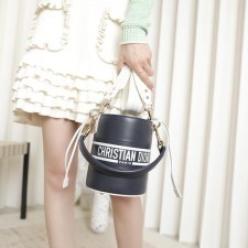 디올 바이브 버킷백 스몰